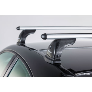 Portaequipaje de techo para Citroen C4 (Aircross)