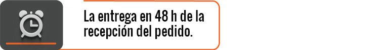 La entrega en 24 h de la recepción del pedido.